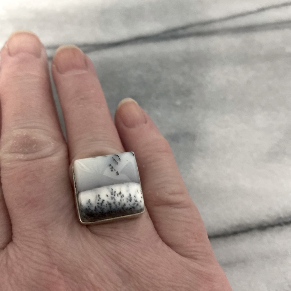 Sterling Silver Ring w/ Scenic Stone